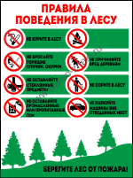 Правила поведения в лесу