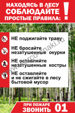 Находясь в лесу соблюдайте простые правила
