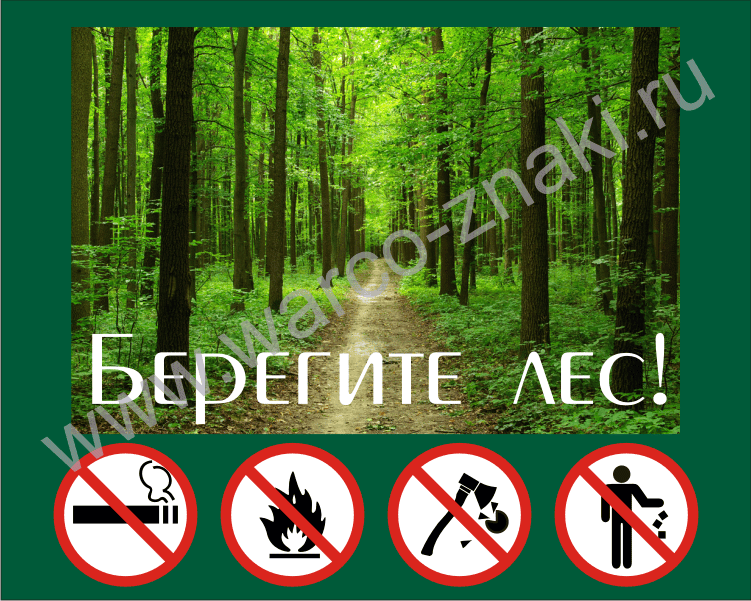 Хорошо в лесу какой знак. Табличка береги лес. Противопожарные аншлаги в лесу. Таблички бережем лес. Знаки пожарной безопасности в лесу.