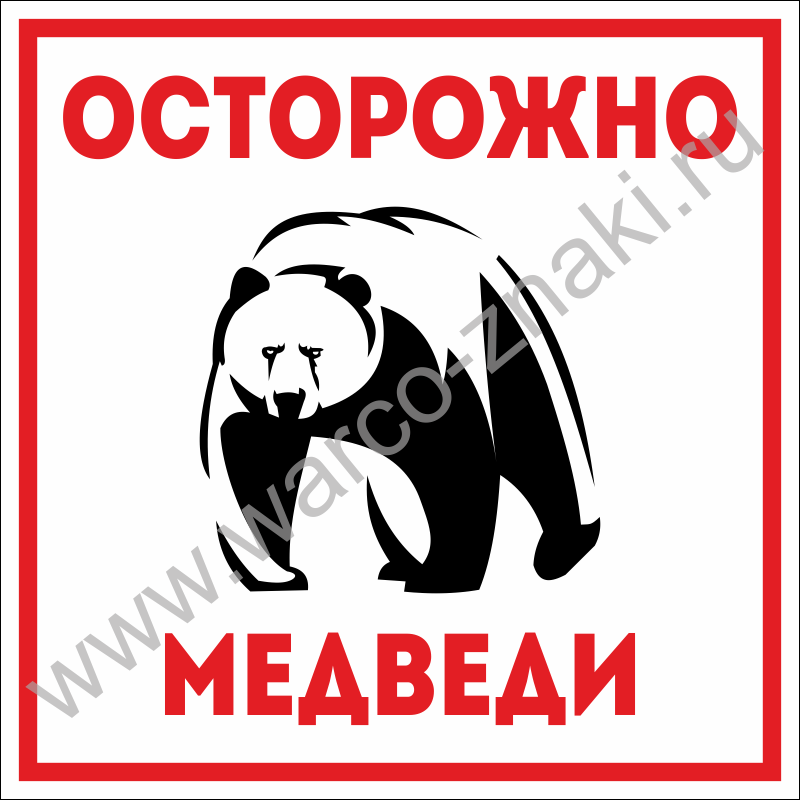 Осторожно медведи картинка
