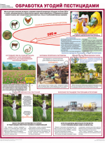 П1-ПЕСТИЦИД «Обработка угодий пестицидами» 1 плакат
