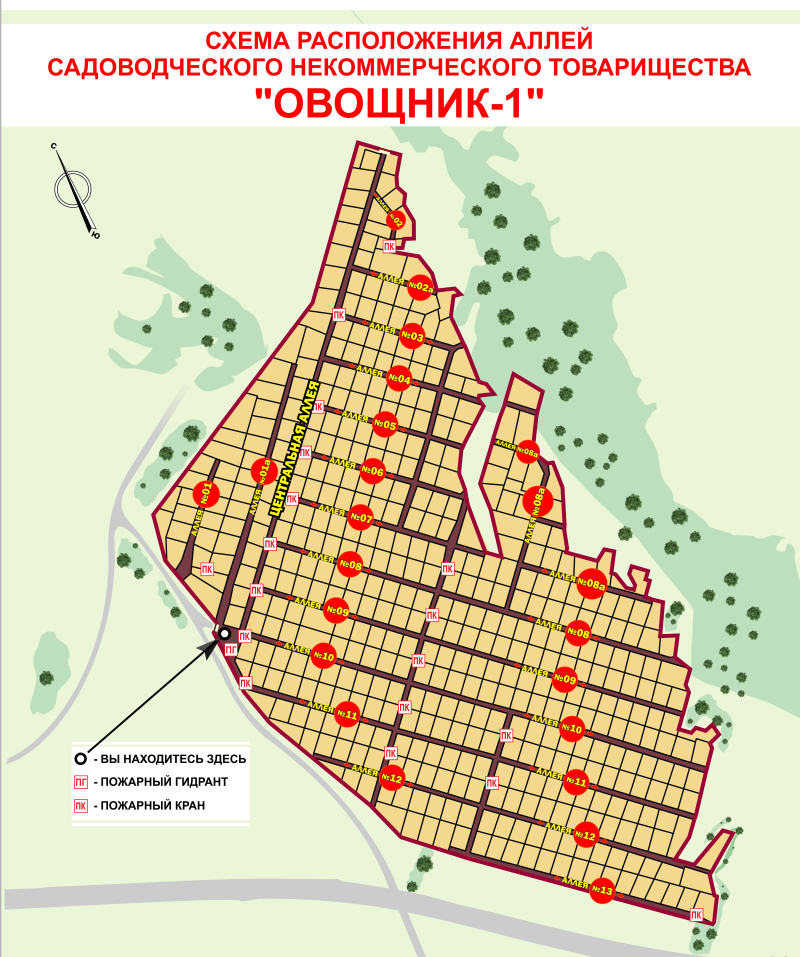 План снт березка