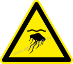 Осторожно! Медузы / Warning! Jellyfish
