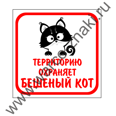 Картинка бесите с котом